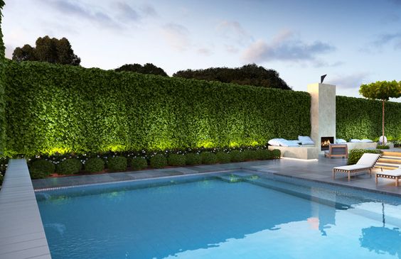 Вид из окна студии